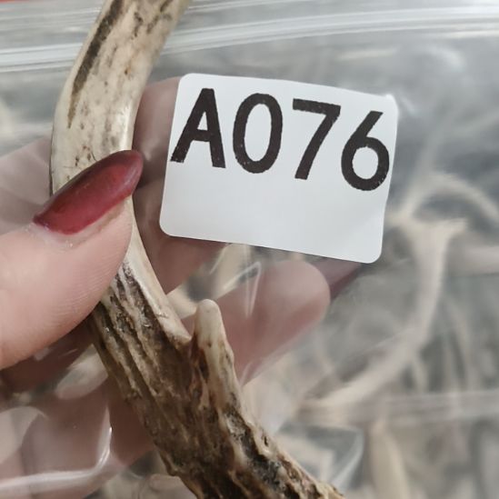 心***骛鹿角鹿角鹿角鹿角鹿角鹿角