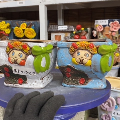 【闪购商品】        
