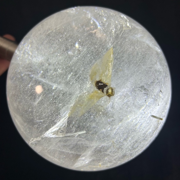 《蜂华正茂》卡16cm 异像白水晶球（内含水胆蜂头）