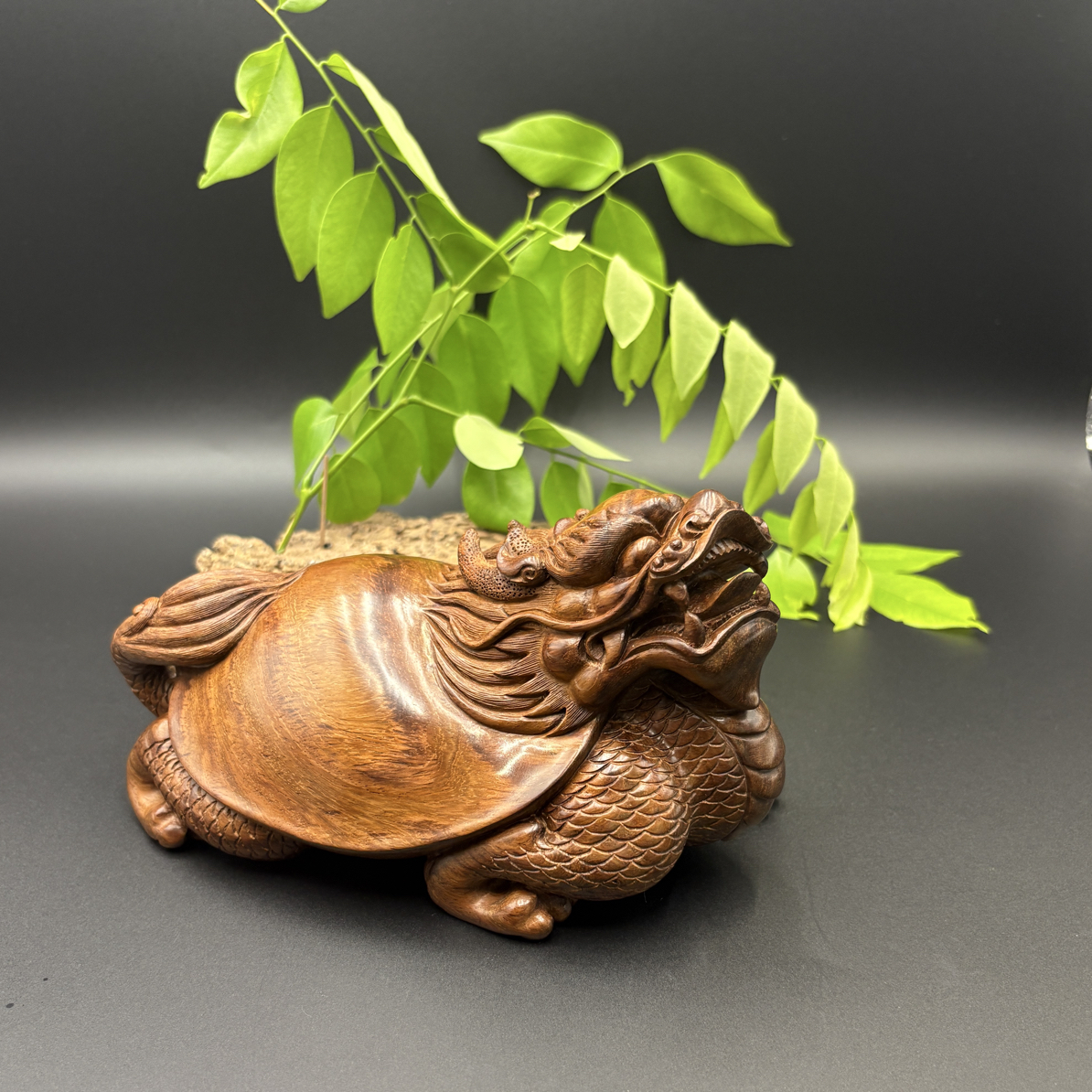 海南黄花梨老料龙龟长19.5×宽11.5×高11.5假一赔三终身有效