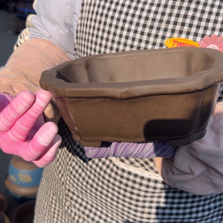 22莲花一个花盆花盆花盆花盆花盆