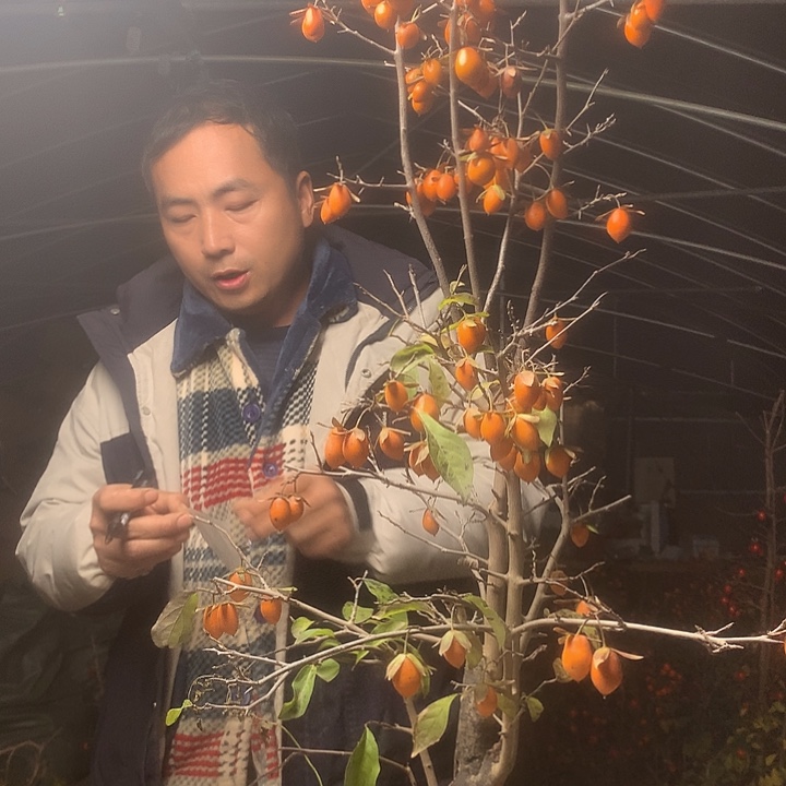 岁***歌无花朵我们的目标