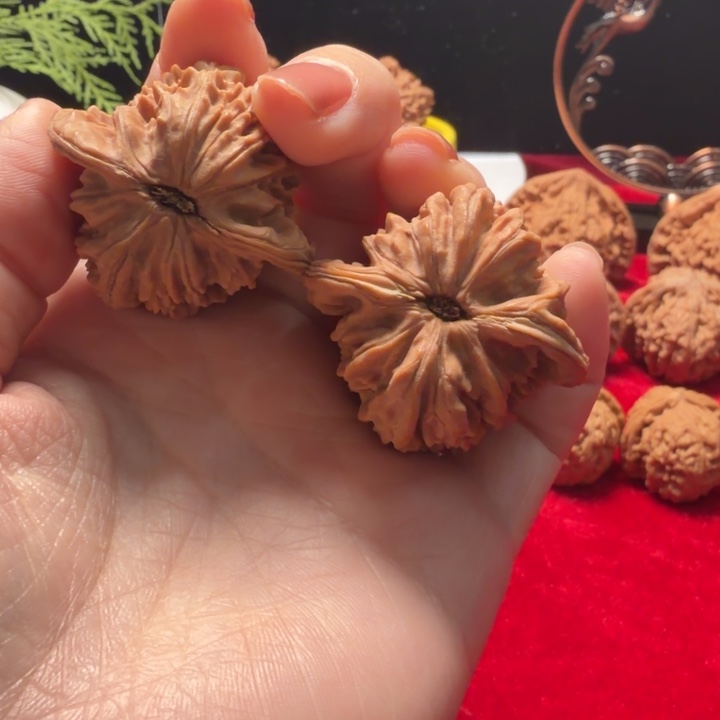 核桃四座楼小钝尖无修
