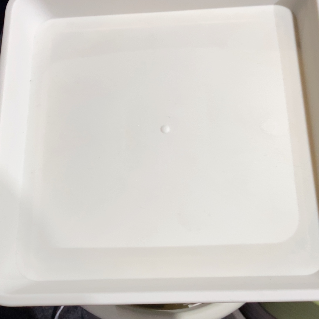 6个米色球根方托盘