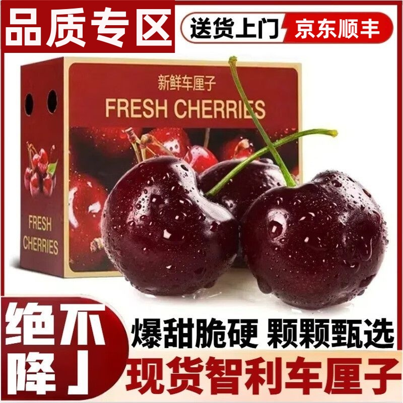 Tony【3JD果王】智利进口海运桑提娜车厘子内附果径卡原箱 800g-5斤