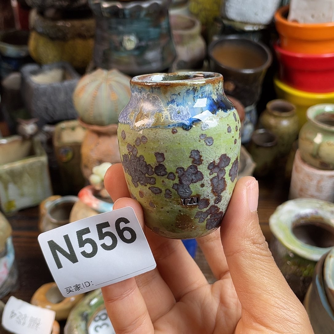 坛子姐花盆！双十二限时活动！默认微次 ！
