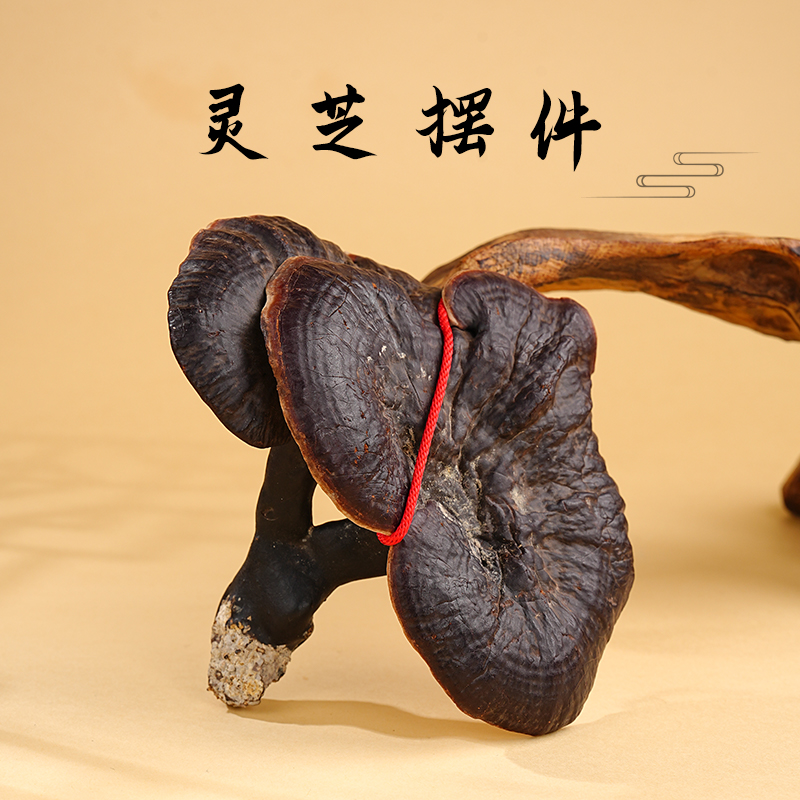 芝 摆件多样性发货  家居饰品（加一个铜币）-593975