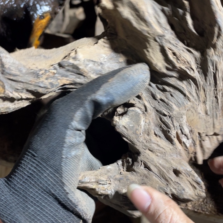 *****贡木把件感谢大家