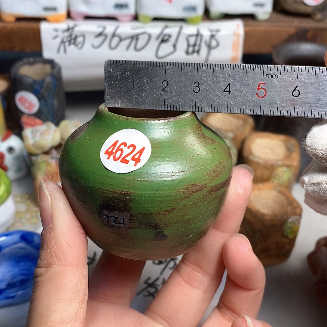 红陶拍5送一个小