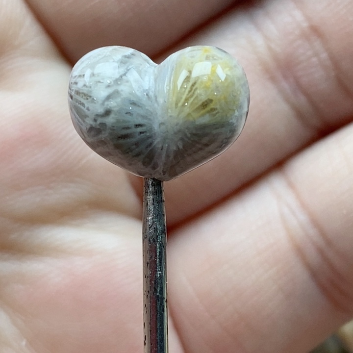 颈饰未镶嵌硅化珊瑚（珊瑚玉）小