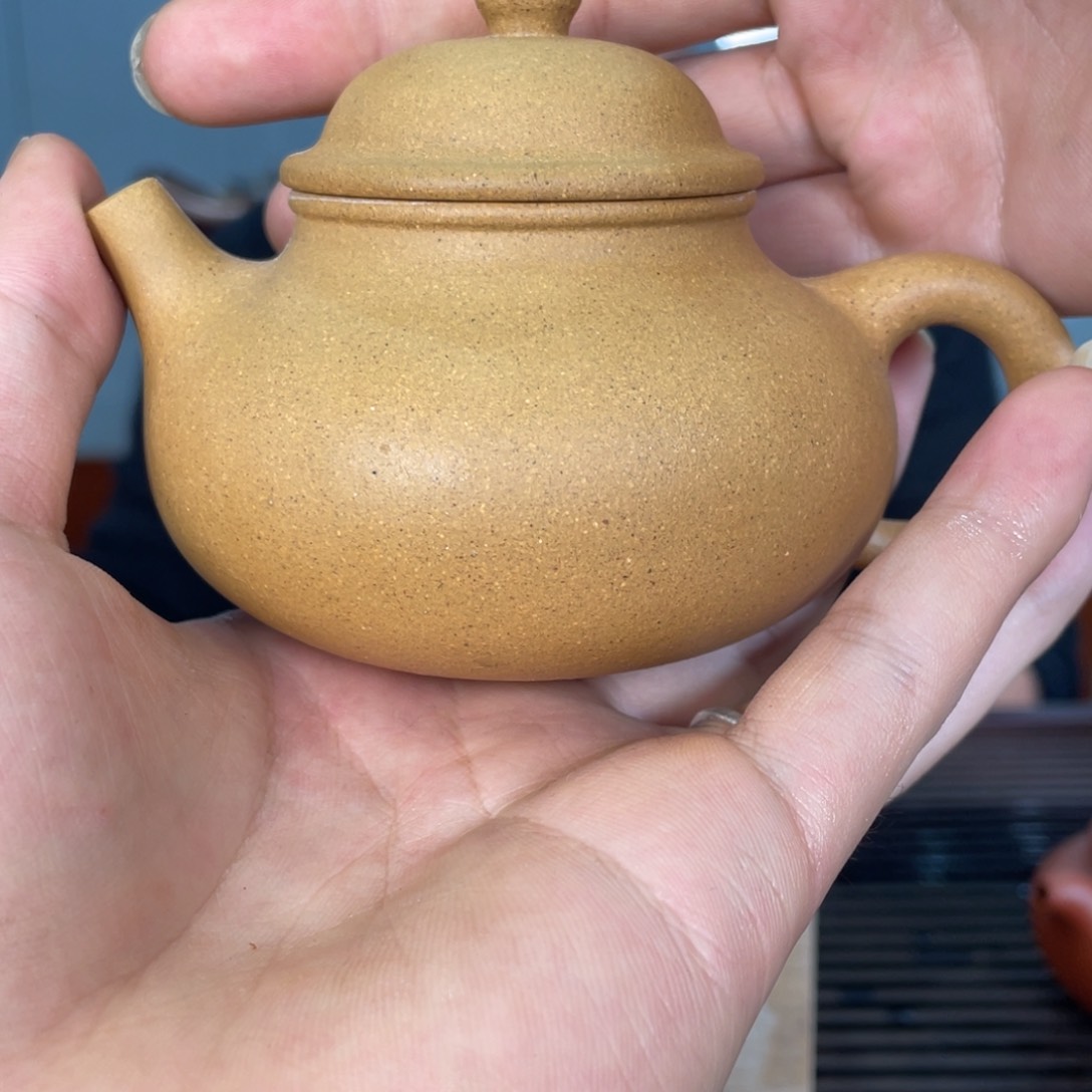 紫砂茶壶你好自认为自己对