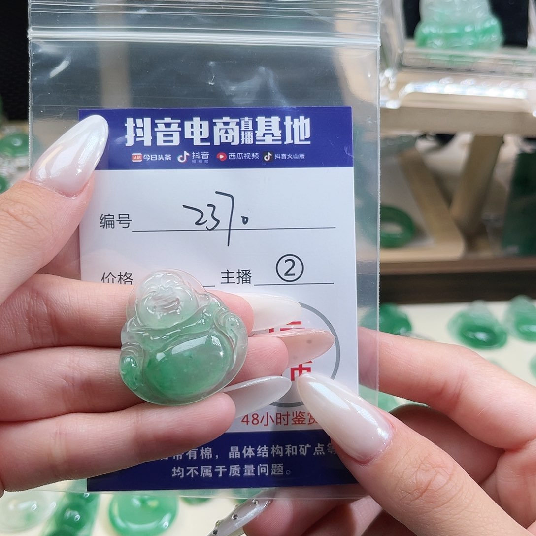 石英质玉未镶嵌颈饰