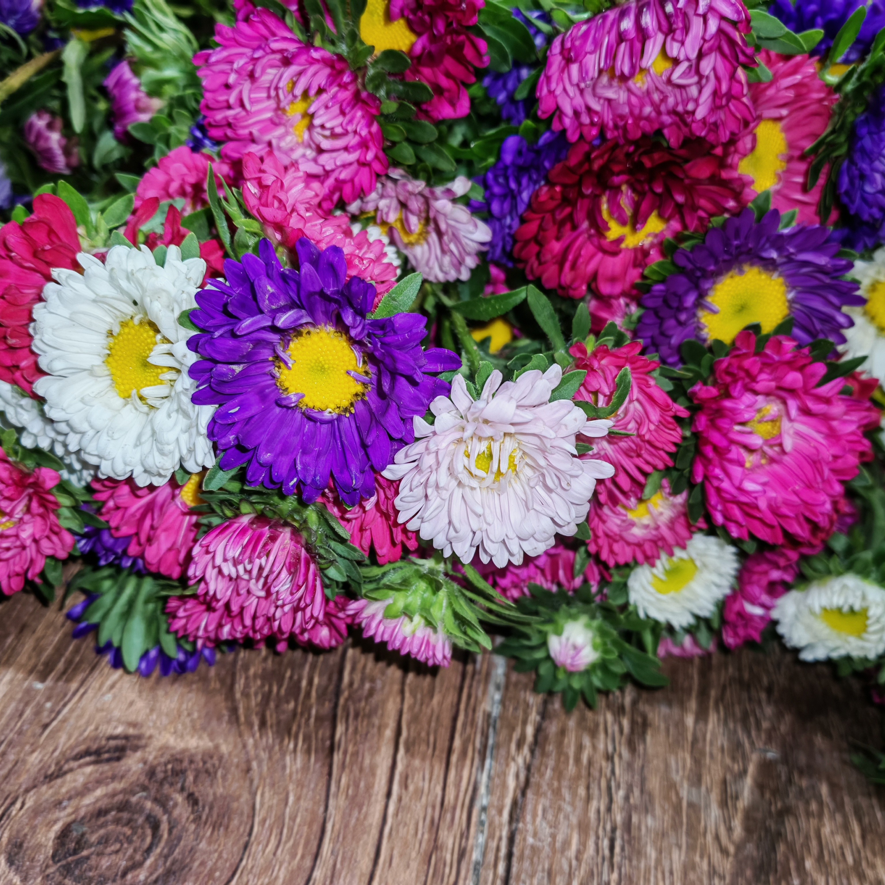 小小花 嘎嘎嘎嘎嘎漂亮