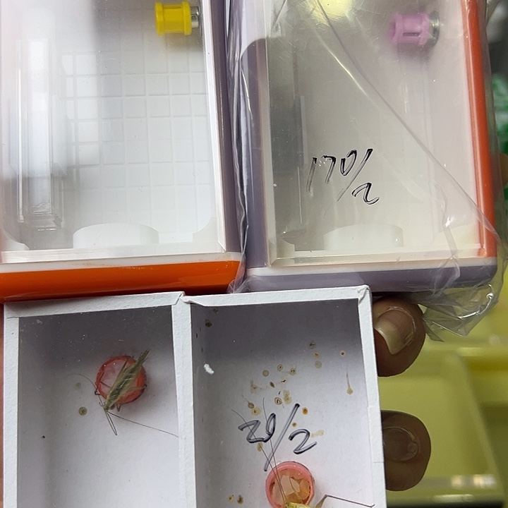 超***峰蟋蟀哈哈哈哈哈哈哈哈哈哈哈