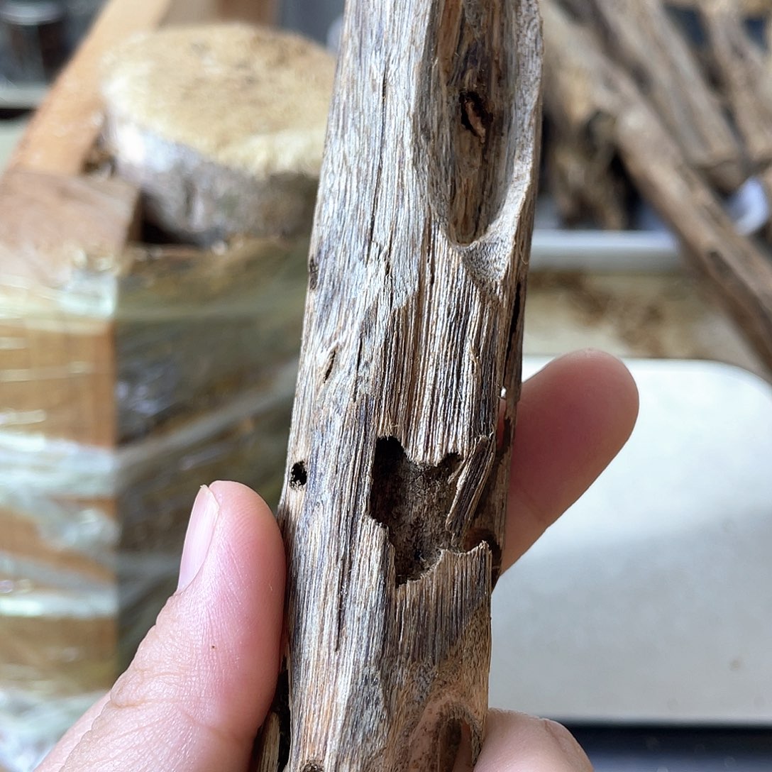 木绿奇楠原材料虫漏16克