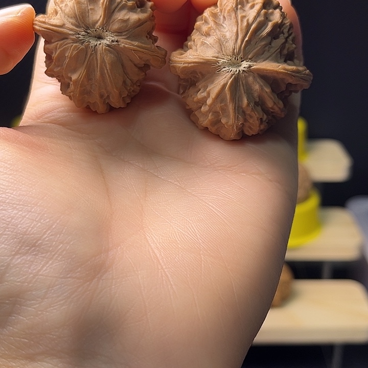 文玩核桃吊坠变异铁锤四座楼