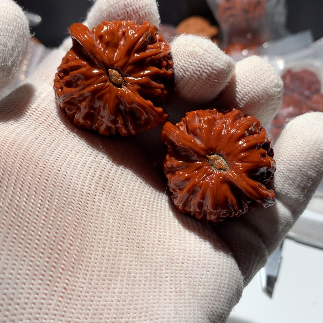 晨***r把件文玩核桃呜呜呜呜呜呜呜呜呜呜呃呃