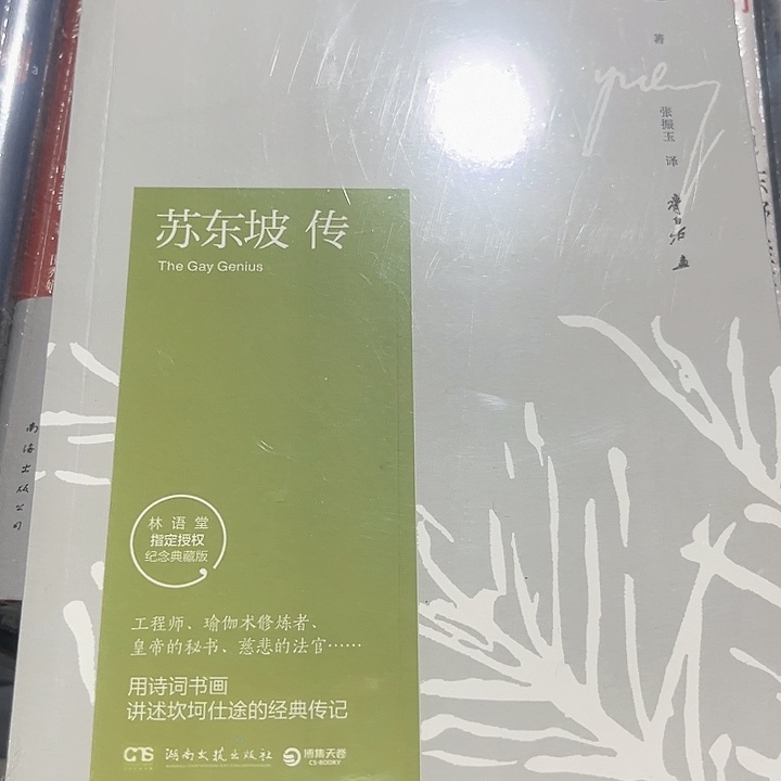 苏东坡传全新推荐