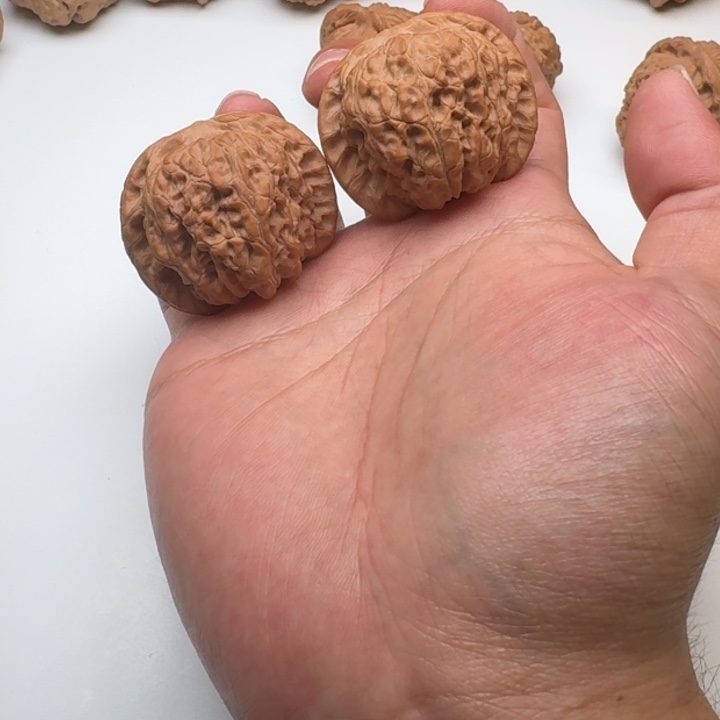 用***9木质类雪麒麟s级对