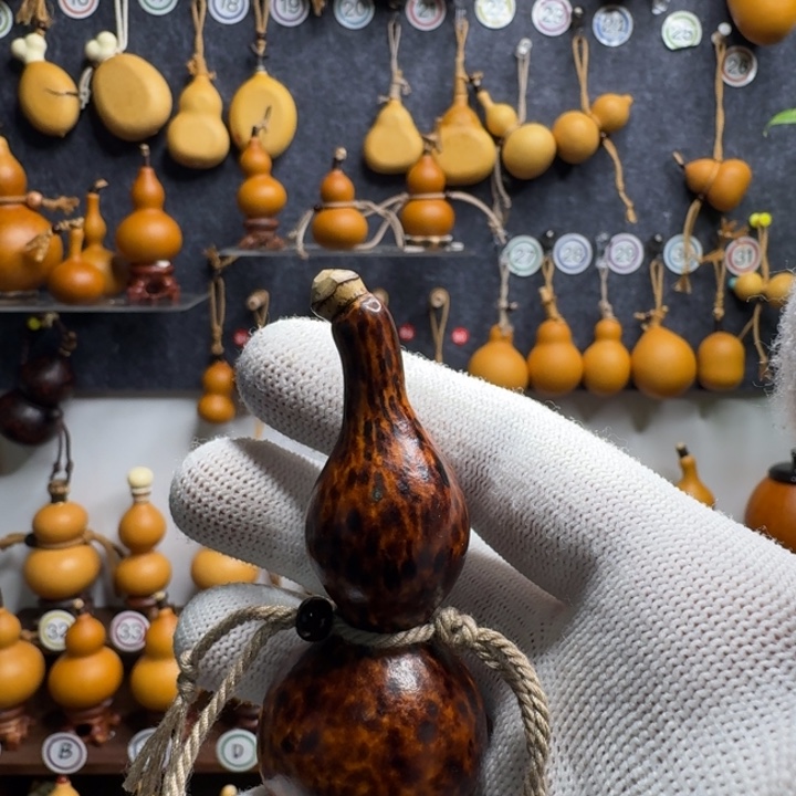 *****哈哈哈哈哈哈哈哈哈哈哈