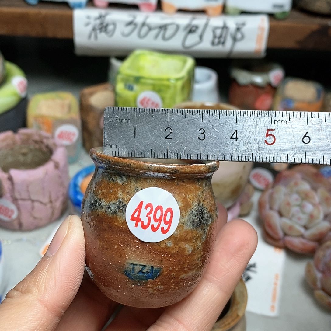 红陶拍5送一个小
