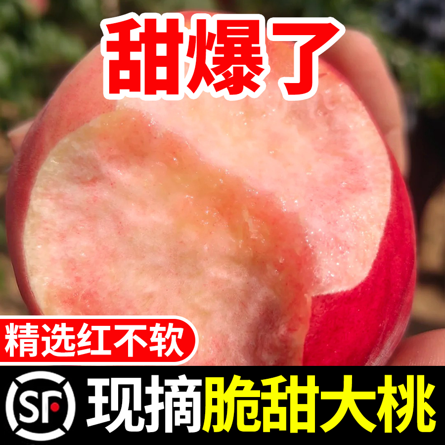 【顺丰包邮】红不软脆桃带箱5斤脆甜多汁鲜嫩新鲜毛桃现摘应季果
