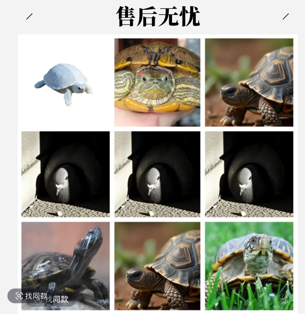 直播间所见即所得成品种料多样性发货
