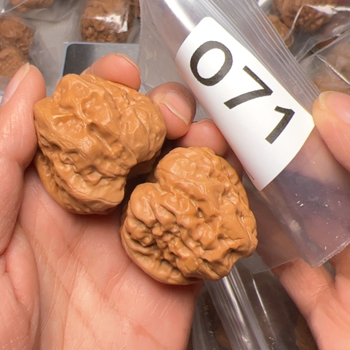 核桃蛤蟆头071号