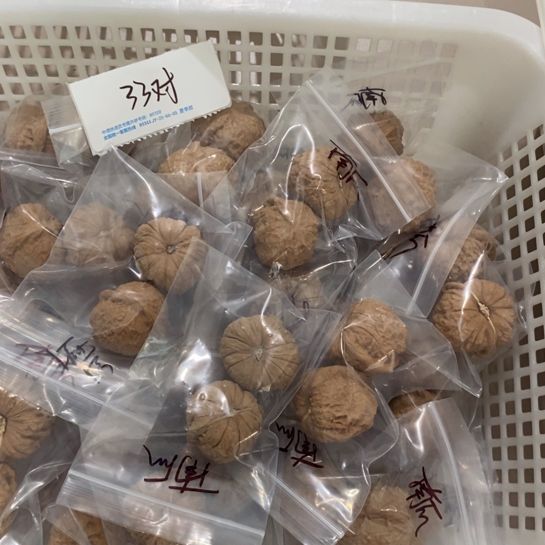 文玩核桃吊坠南瓜墩一般对团购