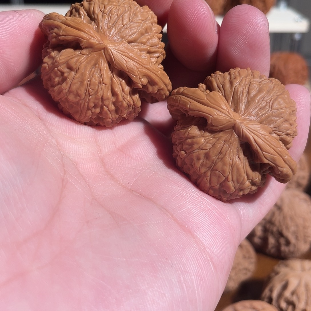 霜***姐文玩核桃把件白狮子