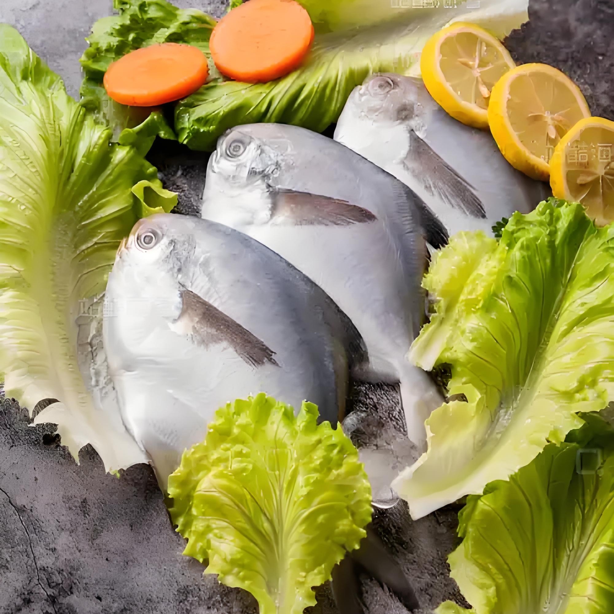 野生银鲳鱼新鲜速冻发货刺少肉嫩