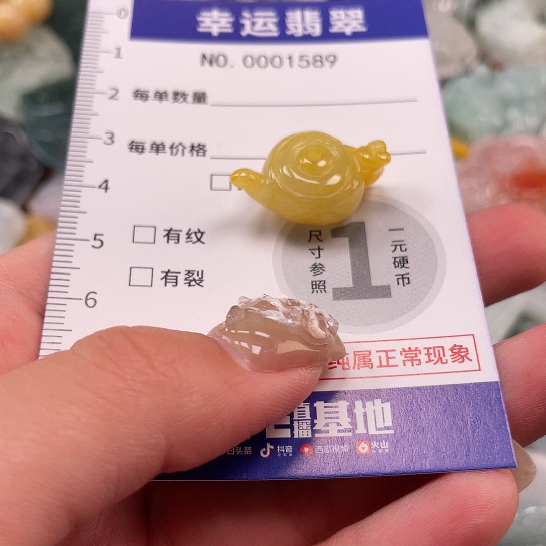 翡翠未镶嵌颈饰1589