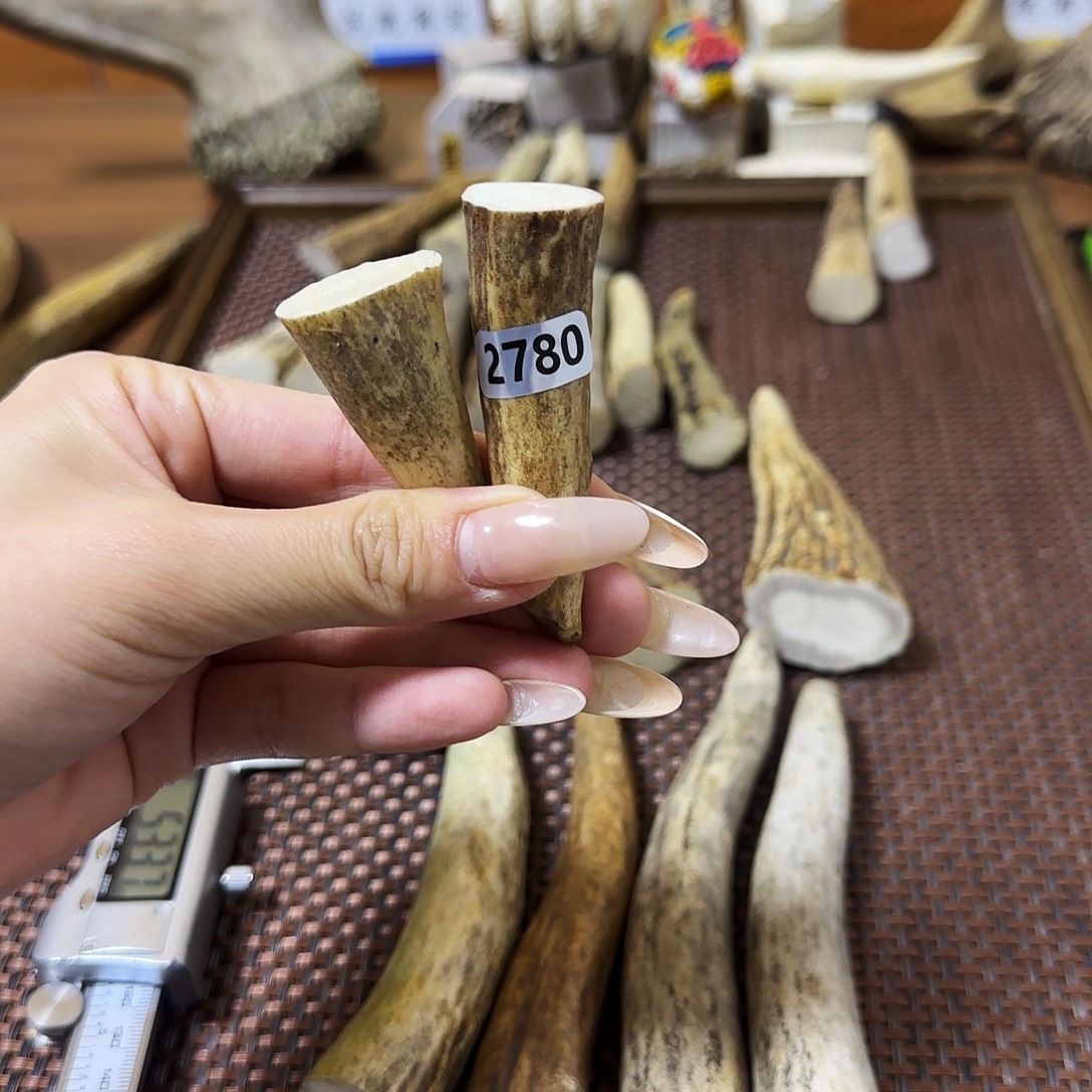 手串/手链鹿骨2780角尖