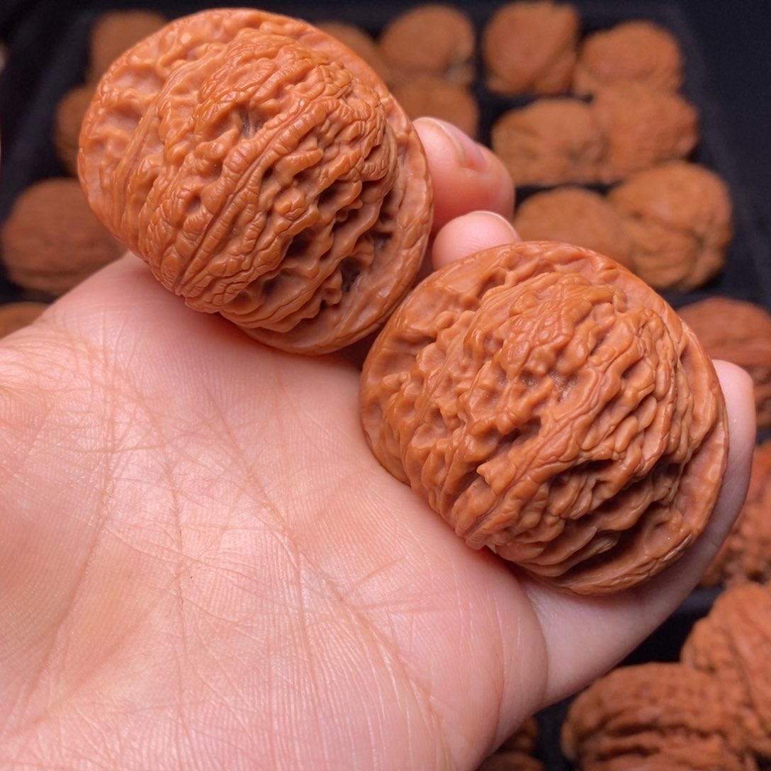 秦岭野生文玩核桃