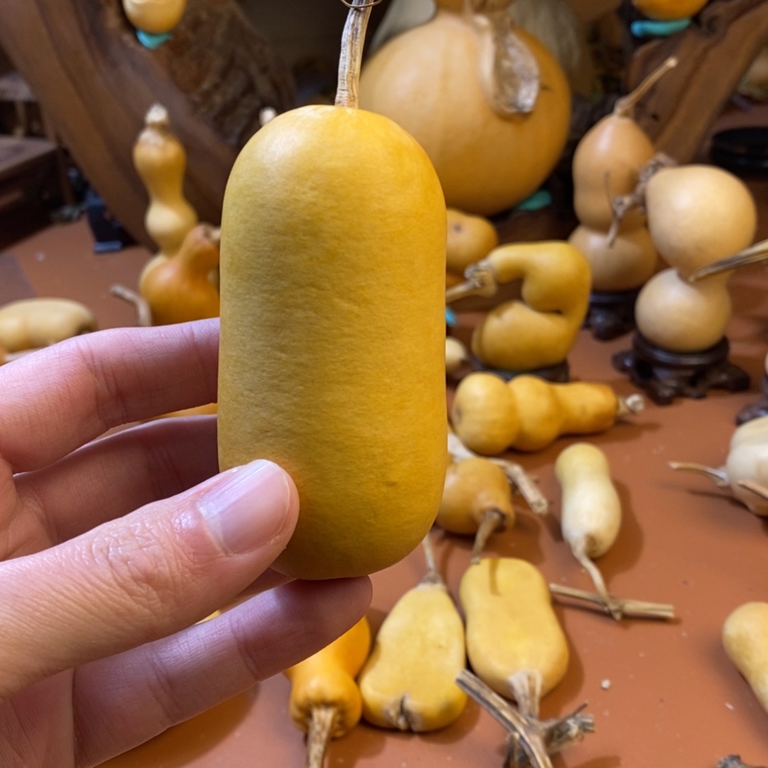 雁***哥教练教练教练教练啦