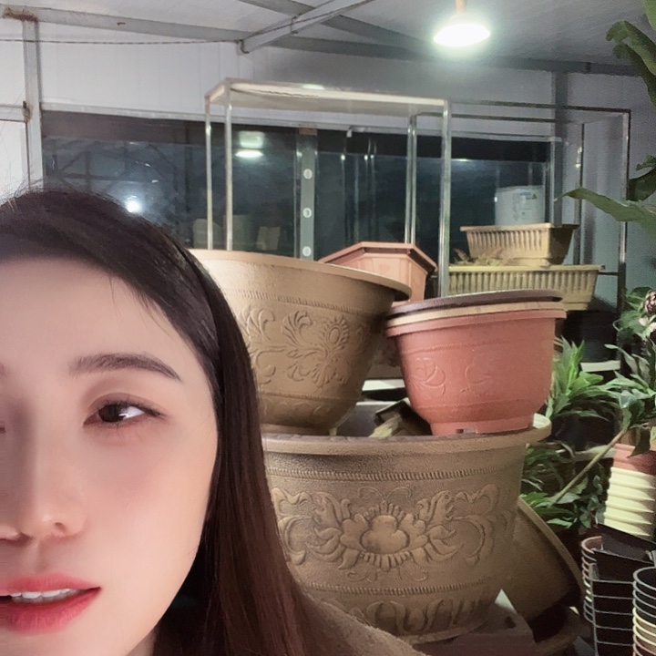 圆40口径花盆两个