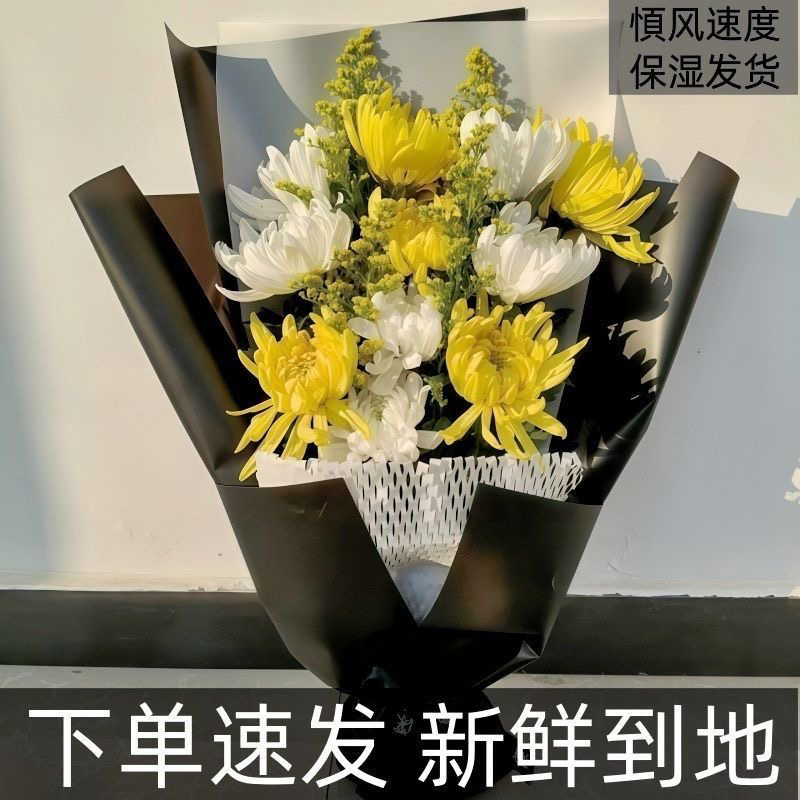 11朵黄白菊-黑色包装