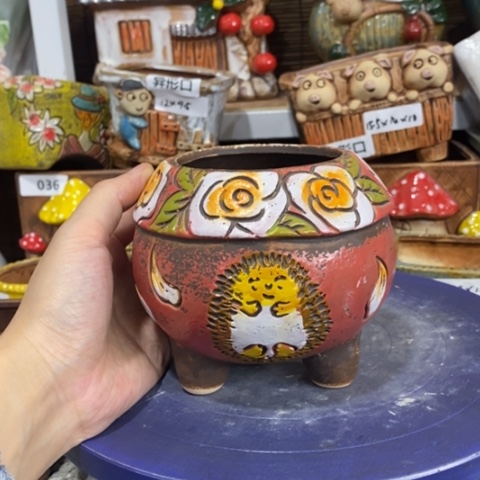 【闪购商品】        