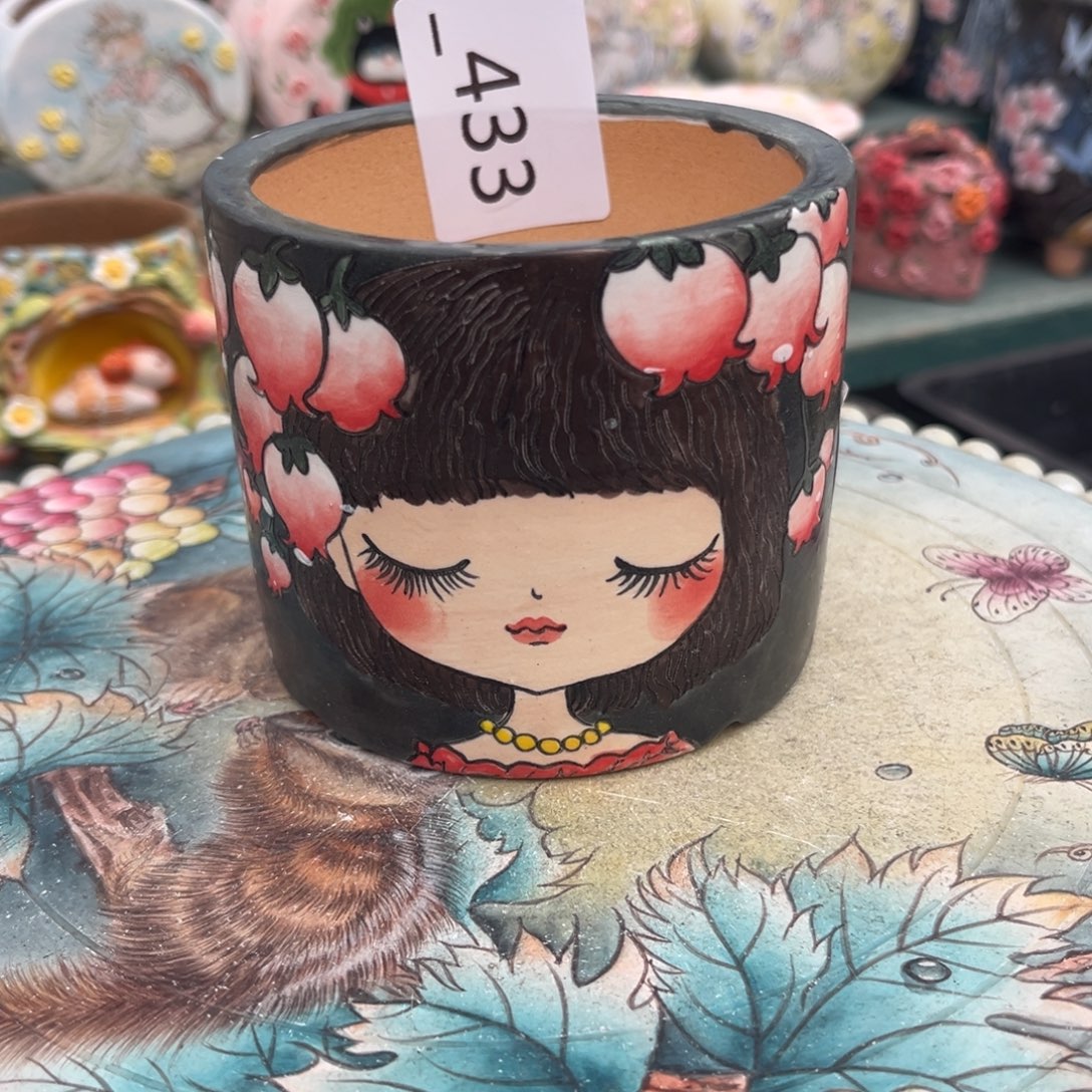 拂***衣433多肉花盆    1个