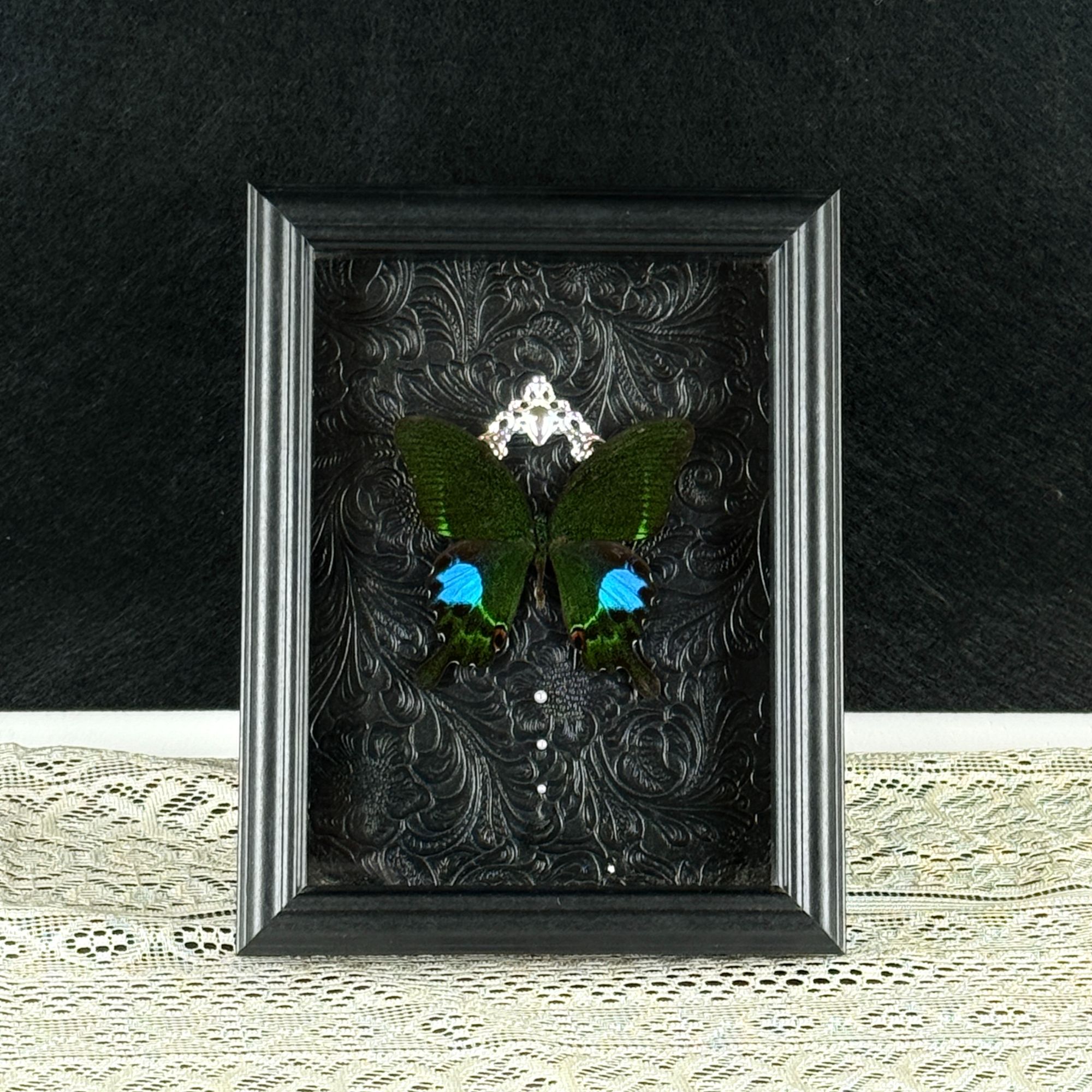 巴黎翠凤蝶A1真蝴蝶标本装饰画【背景可定制】