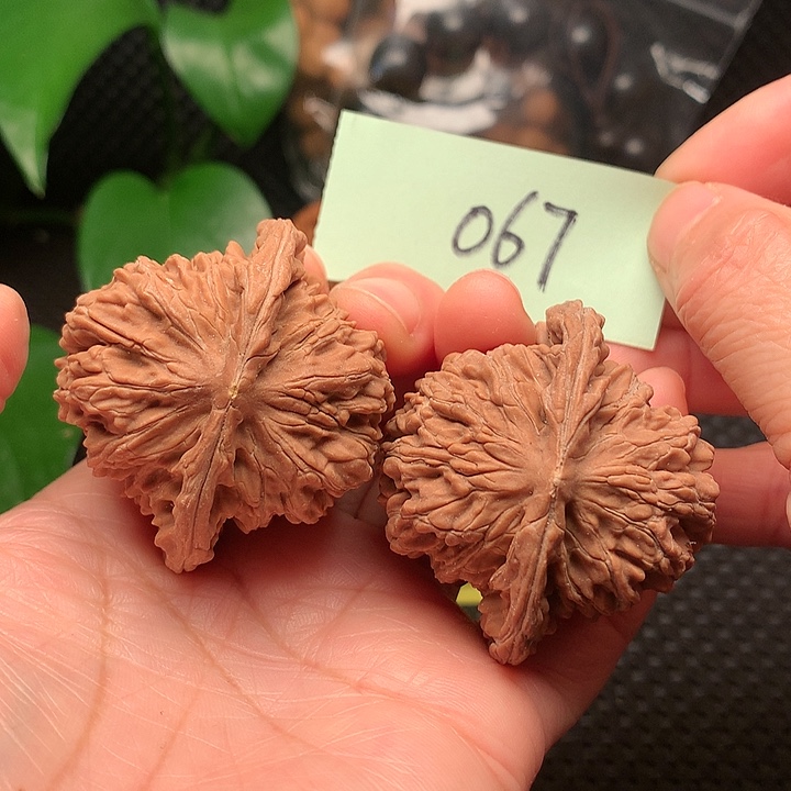 【闪购商品】把件文玩核桃47四座楼瑕疵067