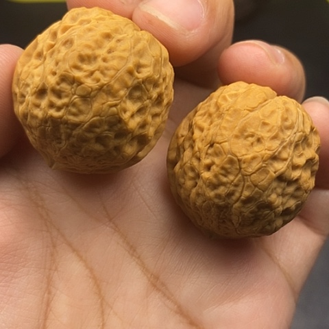 文玩核桃把件37尺元宝