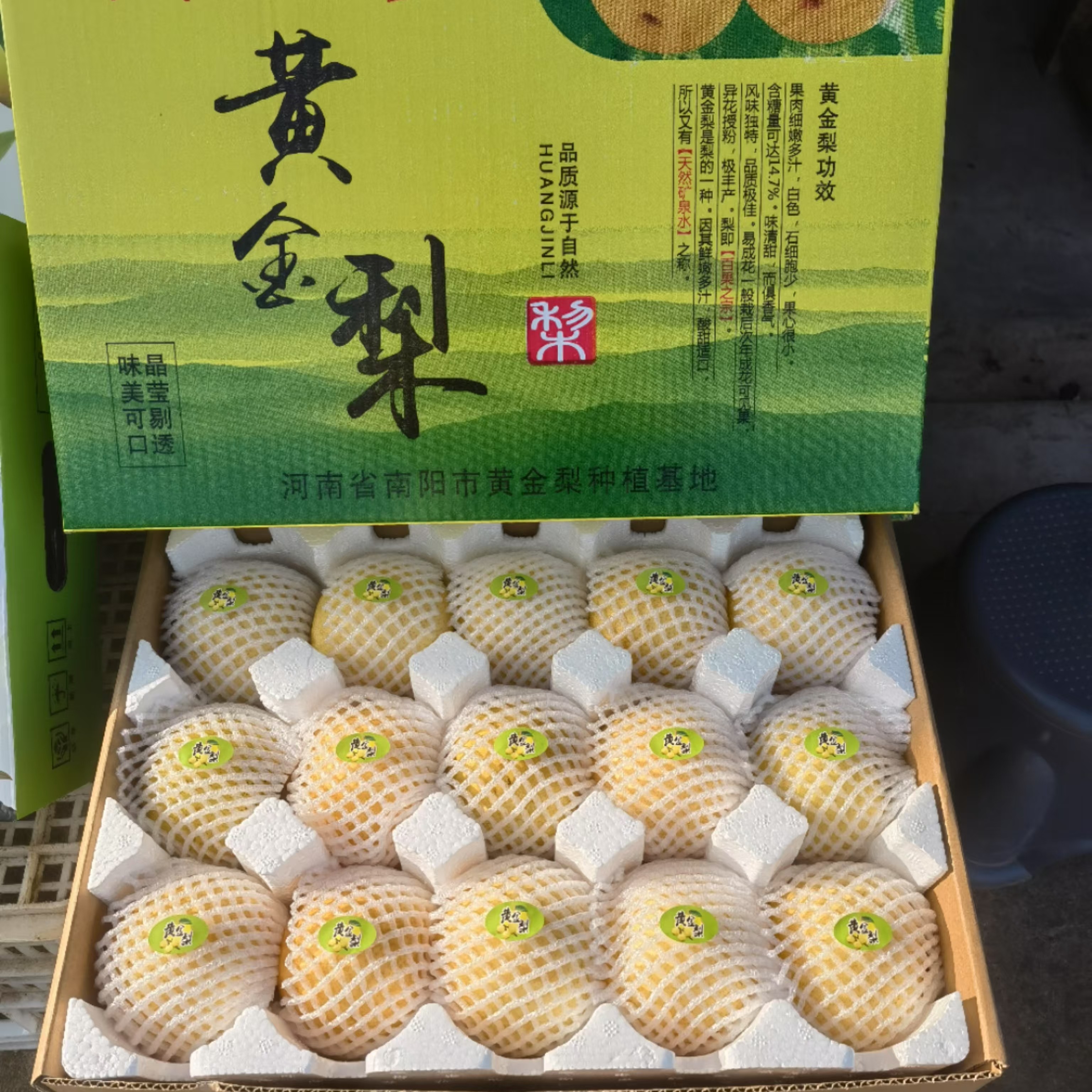 发顺丰（脆甜多汁）15个装新鲜正宗黄金梨当季水果汁多皮薄脆无渣