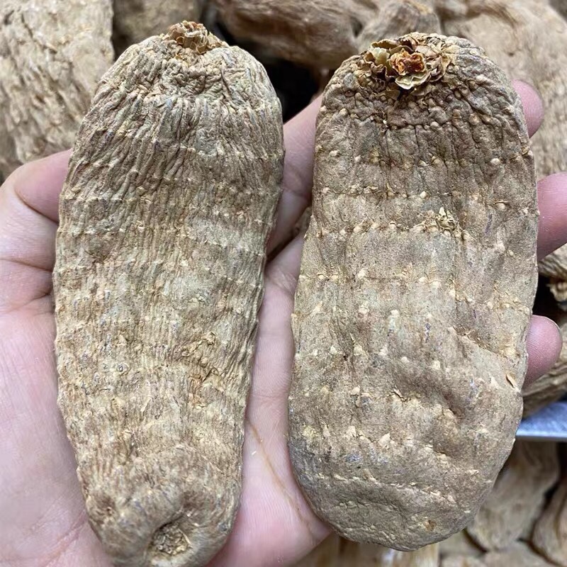 土特产≈[≈添≈]非香菇