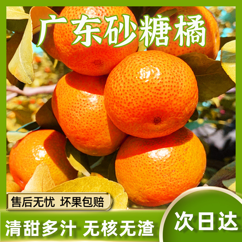 【次日送货上门】正宗增城砂糖橘5斤新鲜砂糖橘当季水果无籽无渣广东省