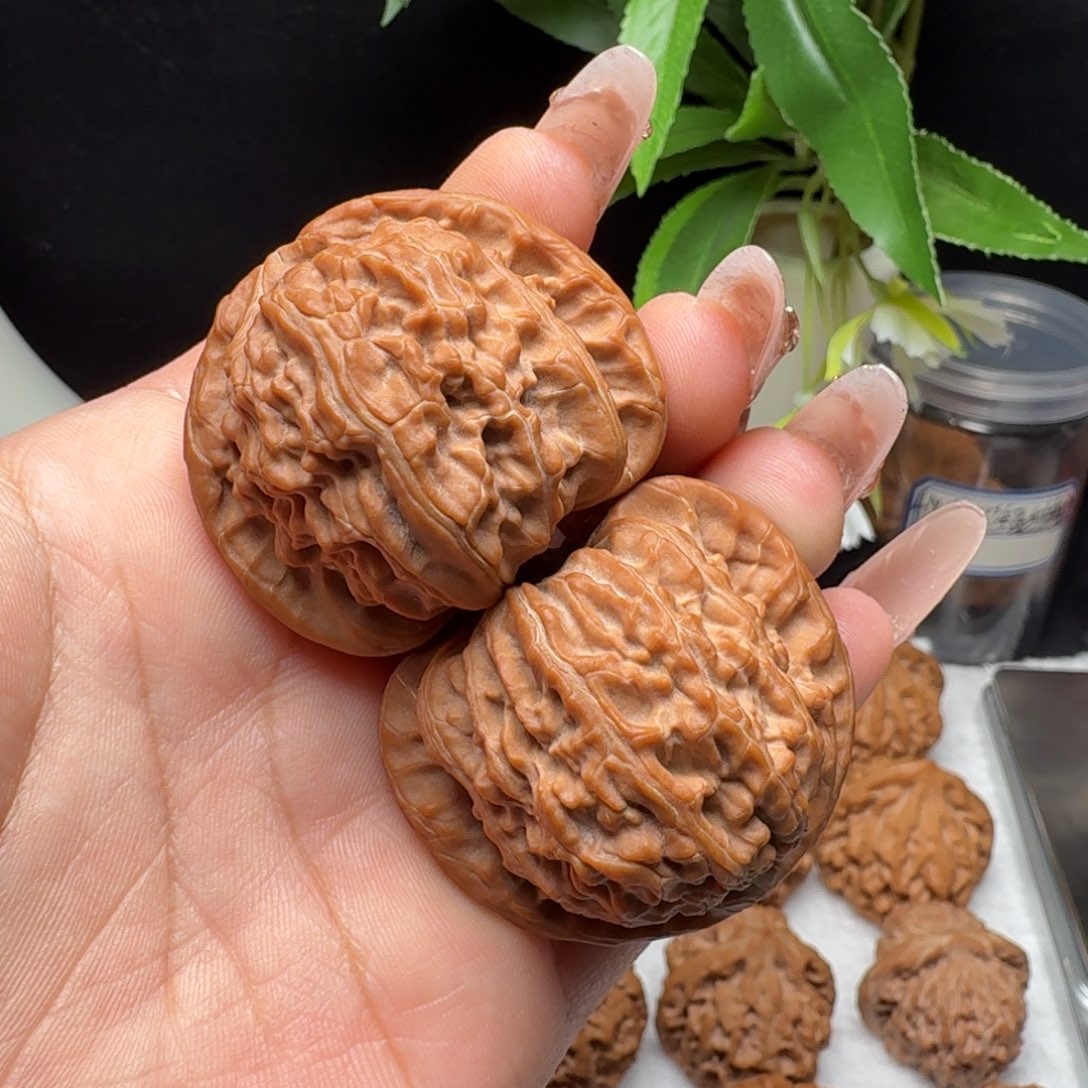 把件文玩核桃42白狮子