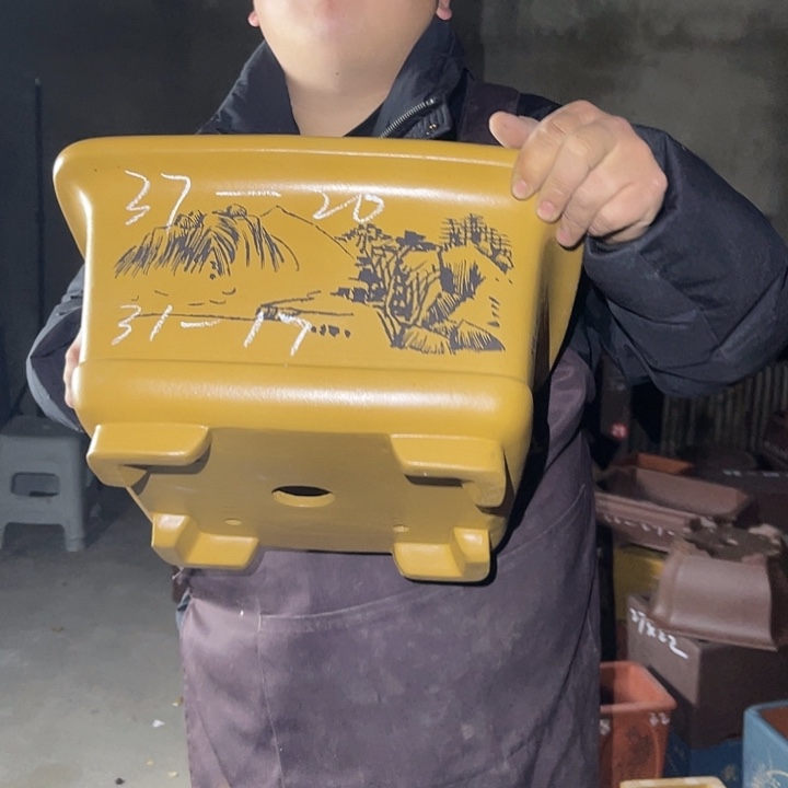 紫砂花盆紫砂花茶