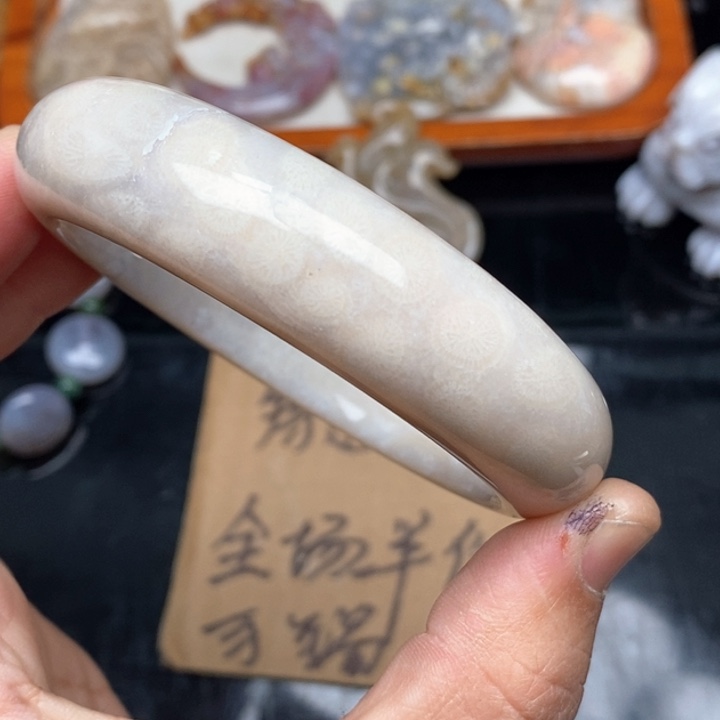 硅化珊瑚（珊瑚玉）颈饰未镶嵌58.8