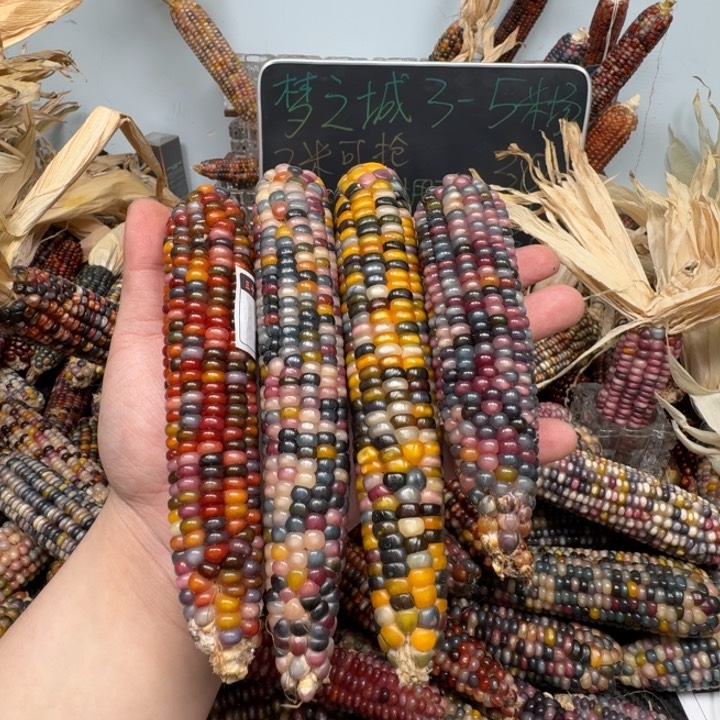 柏香籽/百香籽吊坠粥*?