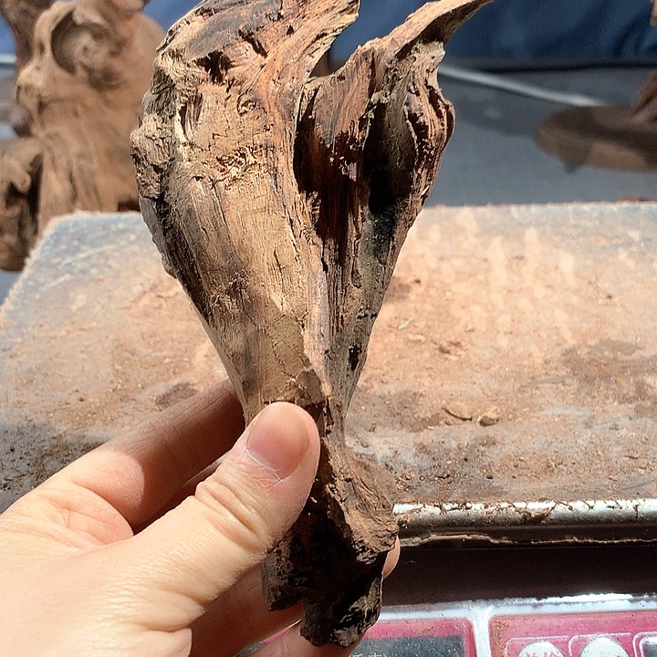 黄花梨/降香黄檀高*东